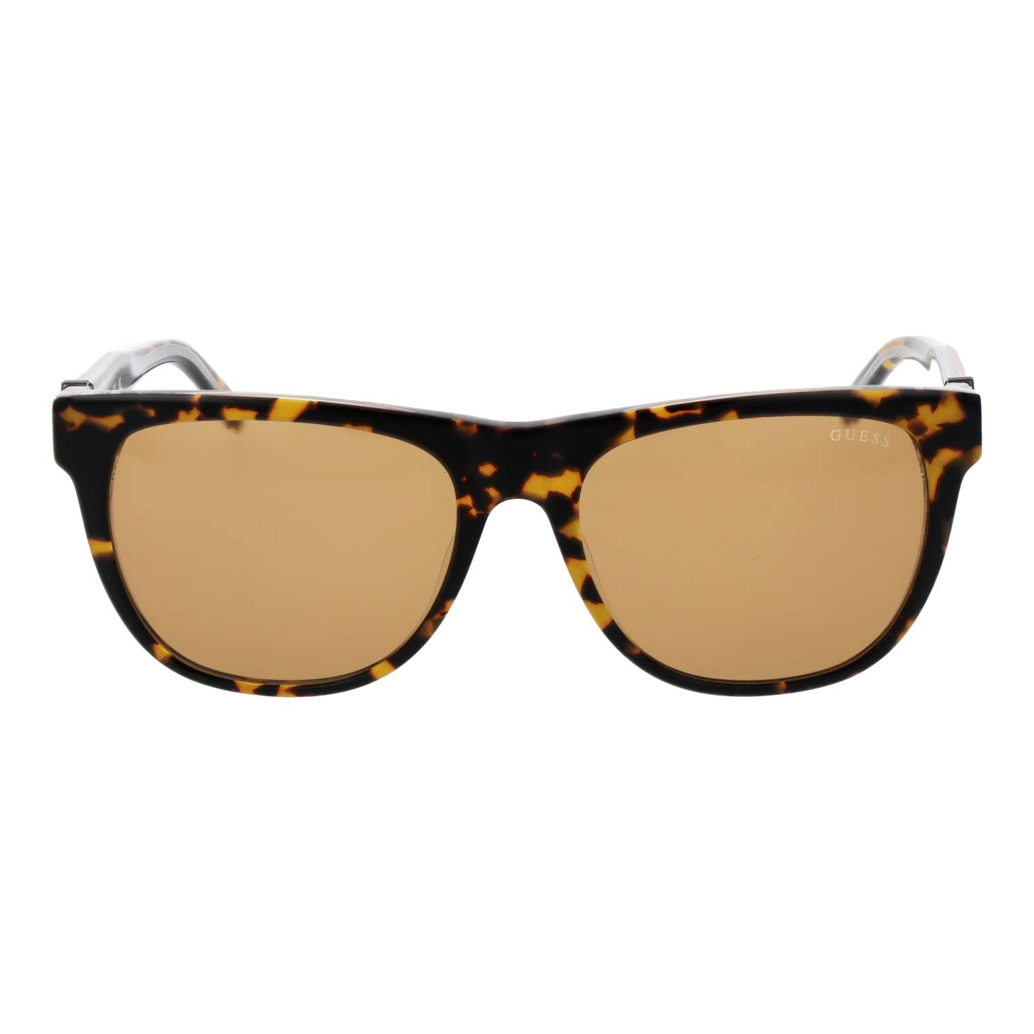 Shop the Latest Women's Sunglasses